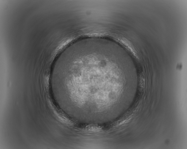 X0000095940491200801181404