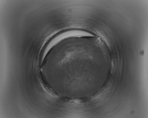 X0000095940492200801181404