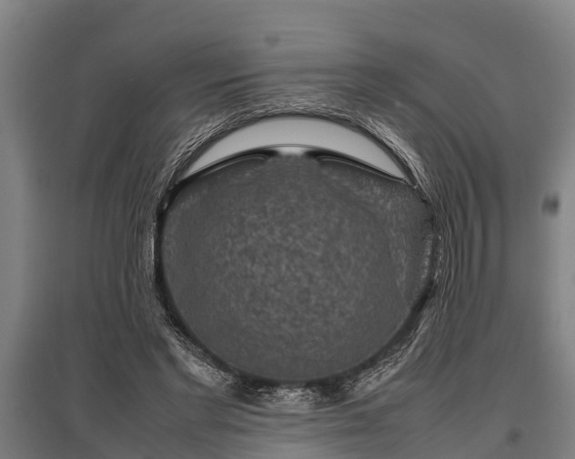 X0000095940493200801181404