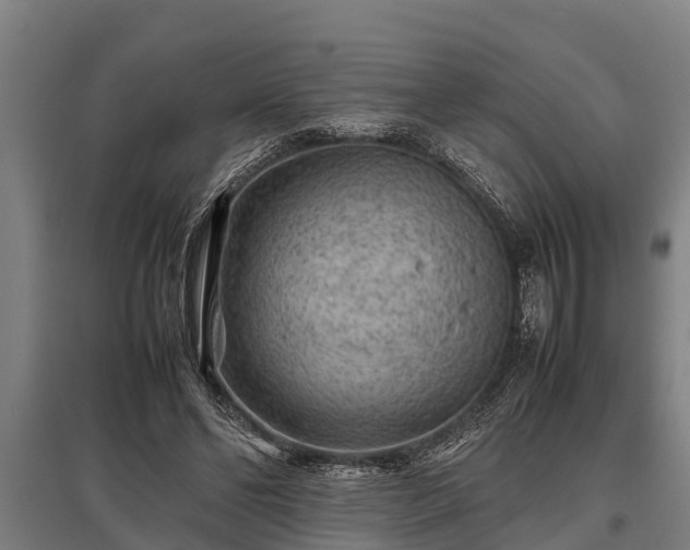 X0000095940494200801181404