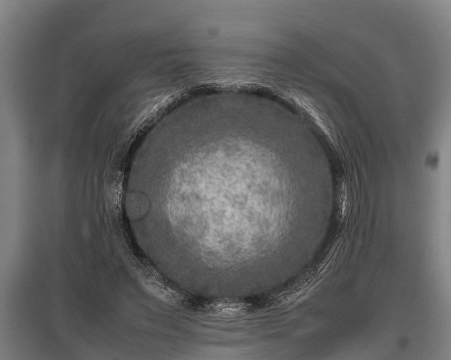 X0000095940495200801181404