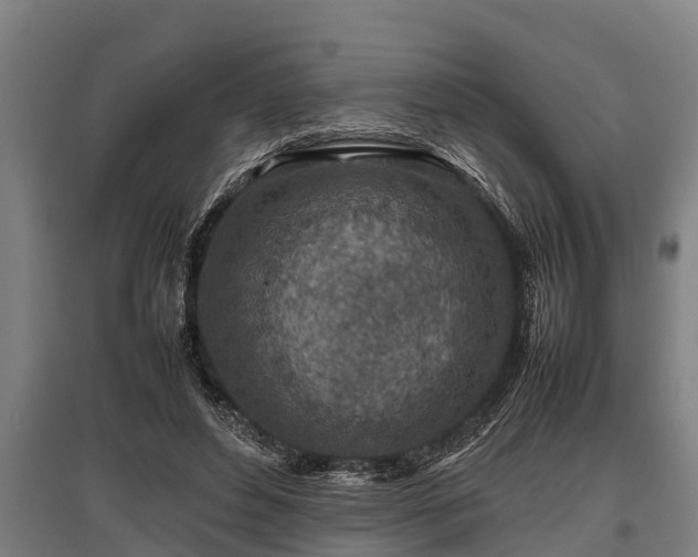 X0000095940496200801181404