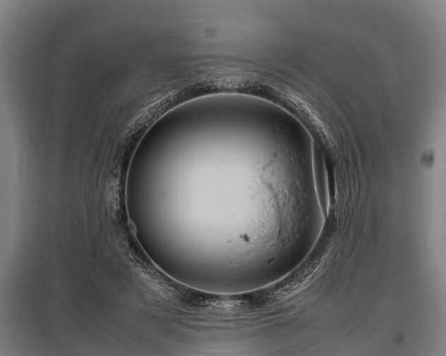 X0000095940497200801181404