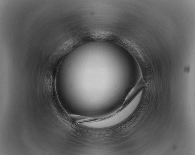 X0000095940498200801181404