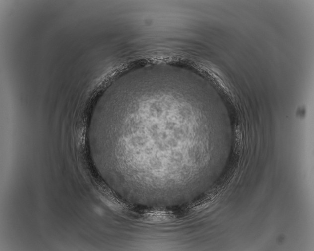 X0000095940499200801181404