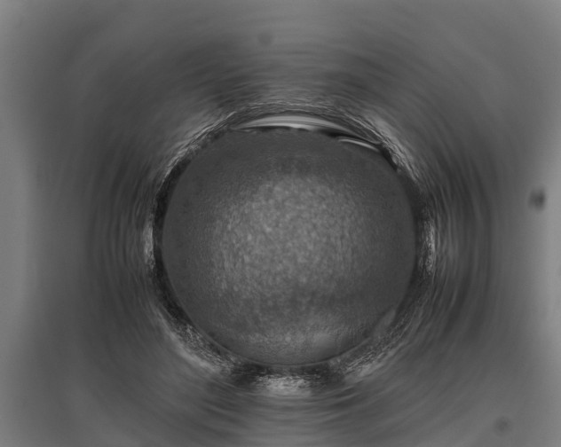 X0000095940500200801181404