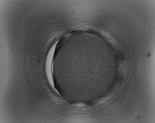 X0000095940501200801181404