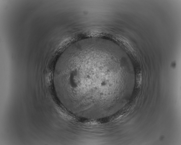 X0000095940503200801181404