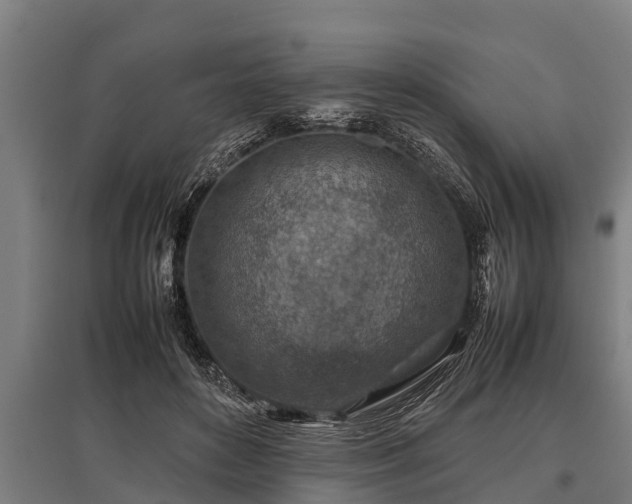 X0000095940504200801181404