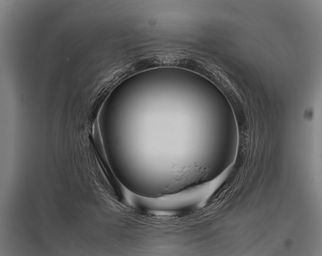 X0000095940505200801181404