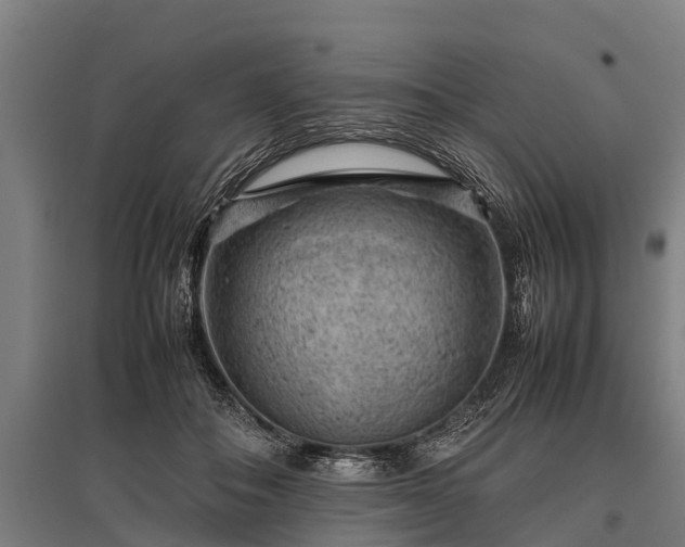 X0000095940506200801181404