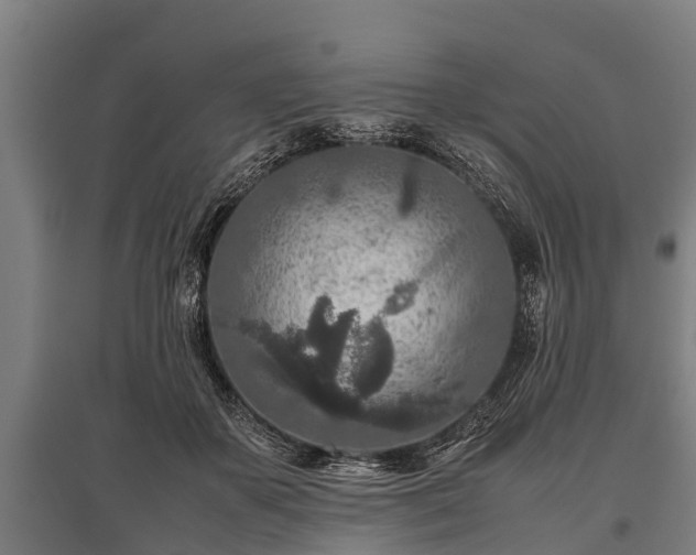 X0000095940507200801181404