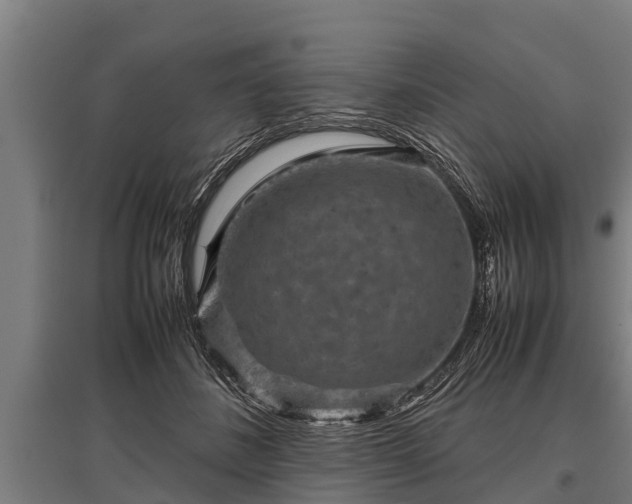 X0000095940508200801181404
