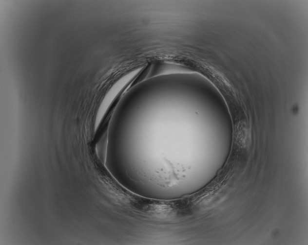 X0000095940509200801181404