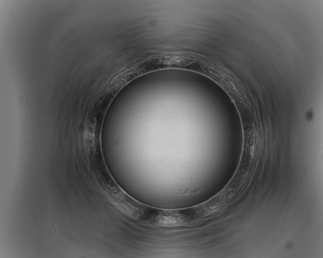 X0000095940510200801181404