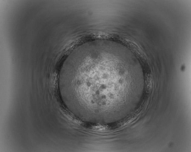 X0000095940511200801181404