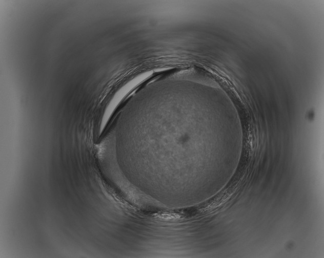 X0000095940512200801181404