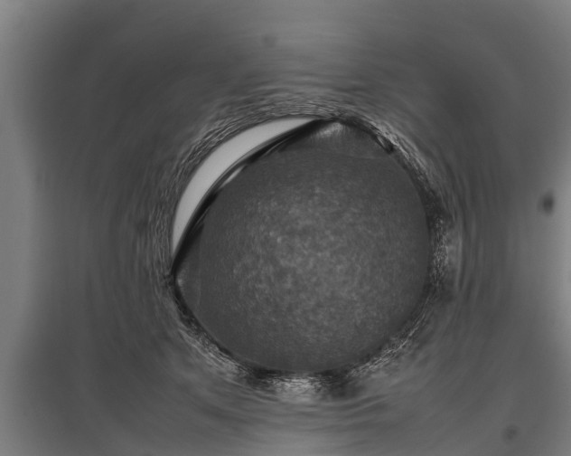 X0000095940513200801181404