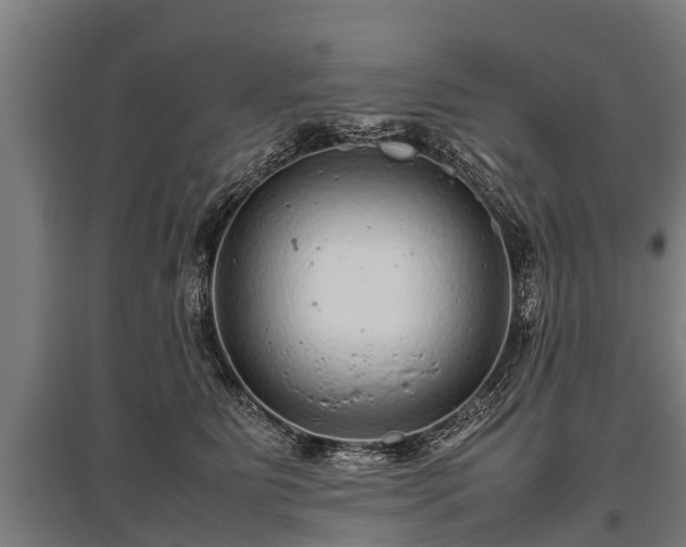 X0000095940515200801181404
