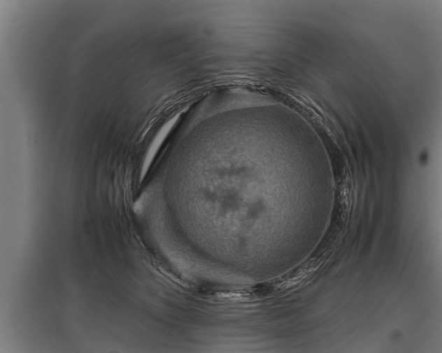 X0000095940516200801181404