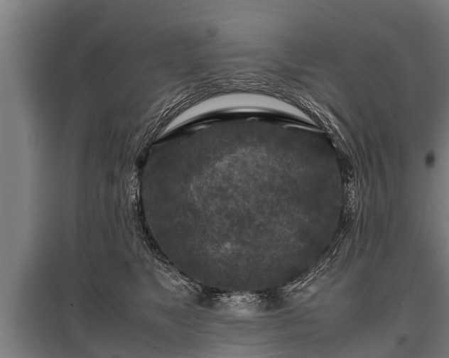X0000095940517200801181403