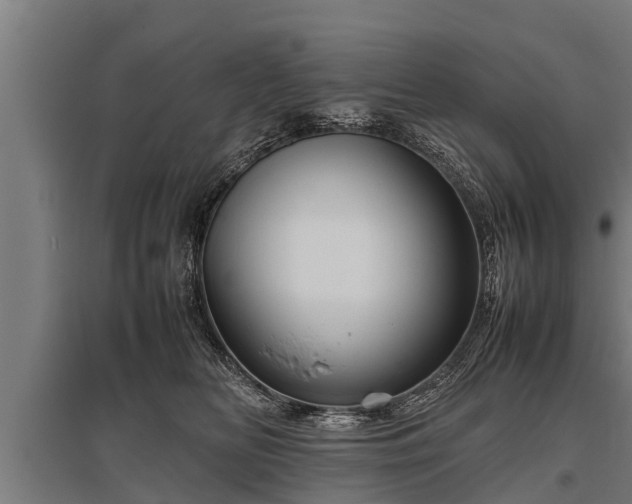 X0000095940518200801181403