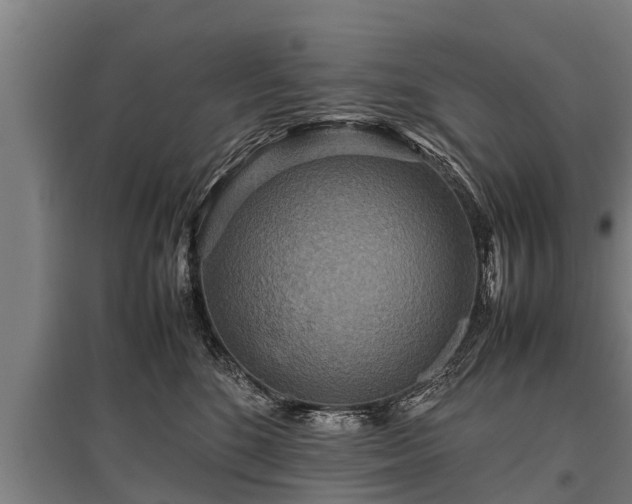 X0000095940520200801181403