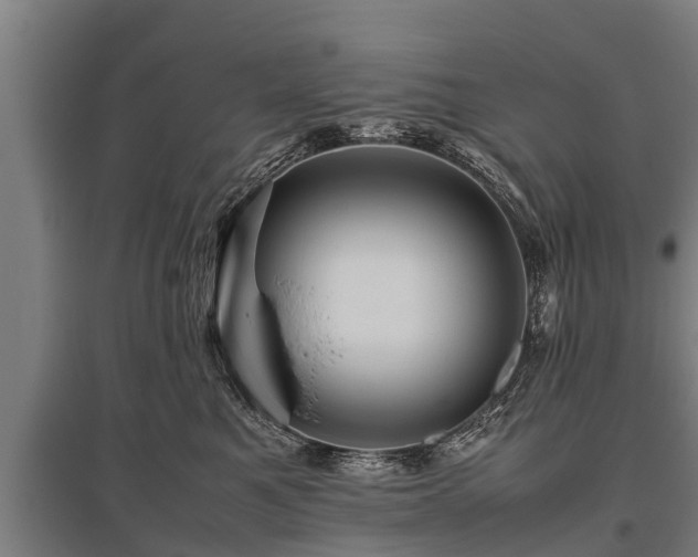 X0000095940521200801181403