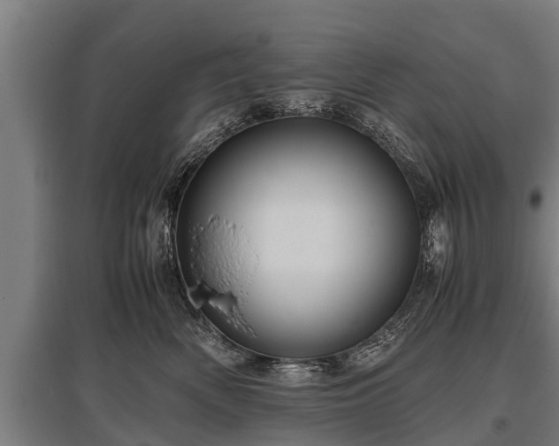 X0000095940522200801181403