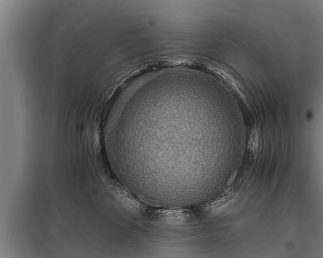 X0000095940524200801181403