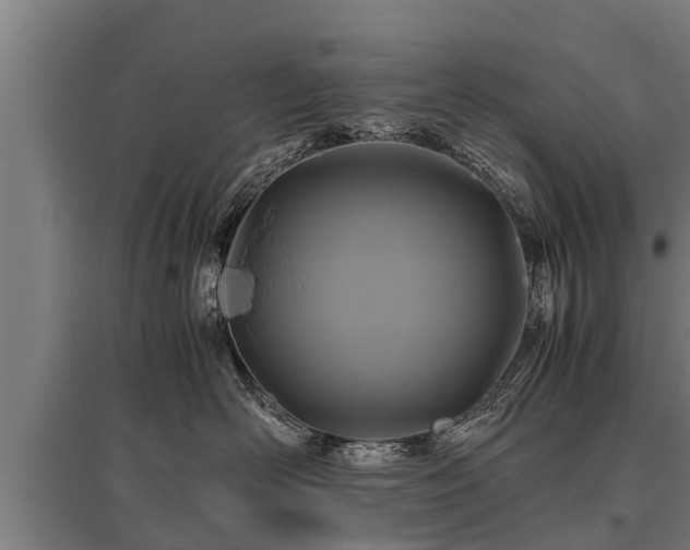X0000095940526200801181403