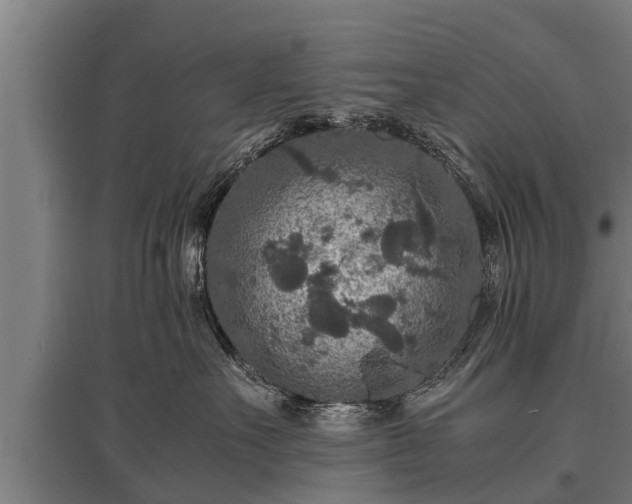 X0000095940527200801181403