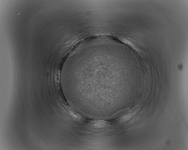 X0000095940528200801181403