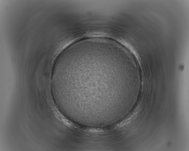 X0000095940529200801181403