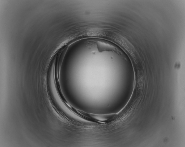 X0000095940530200801181403