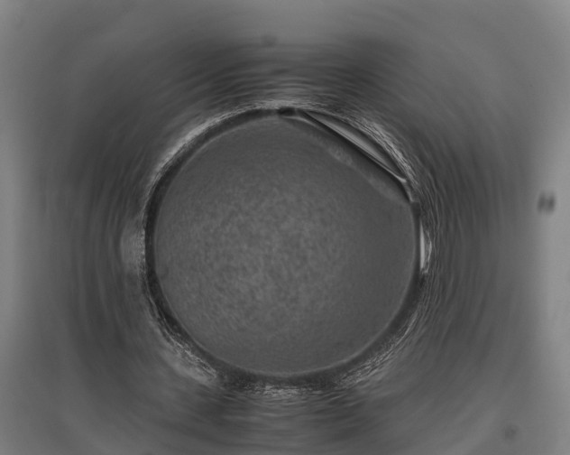 X0000095940531200801181403