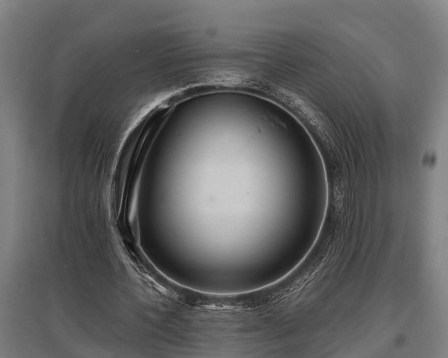 X0000095940532200801181403