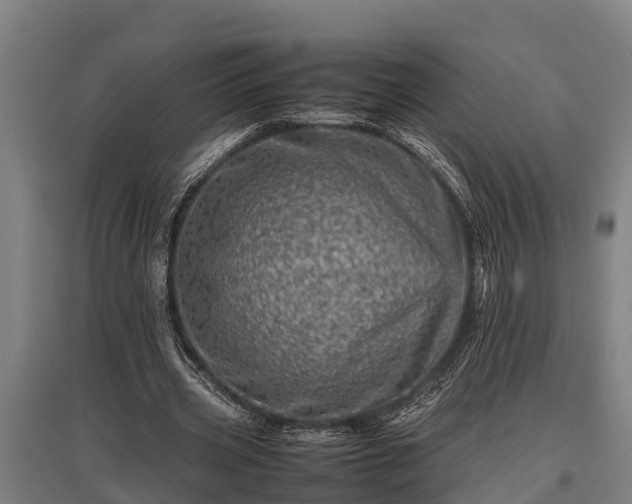X0000095940533200801181403