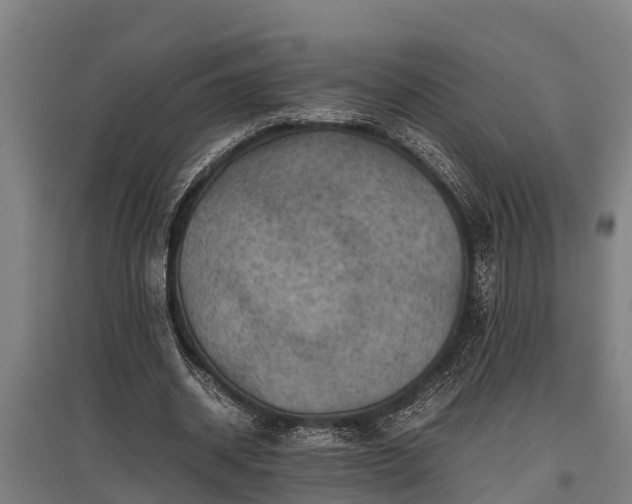 X0000095940534200801181403