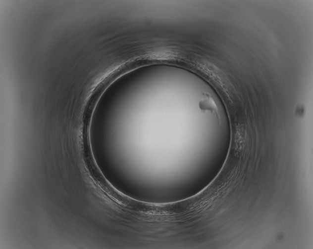 X0000095940535200801181403
