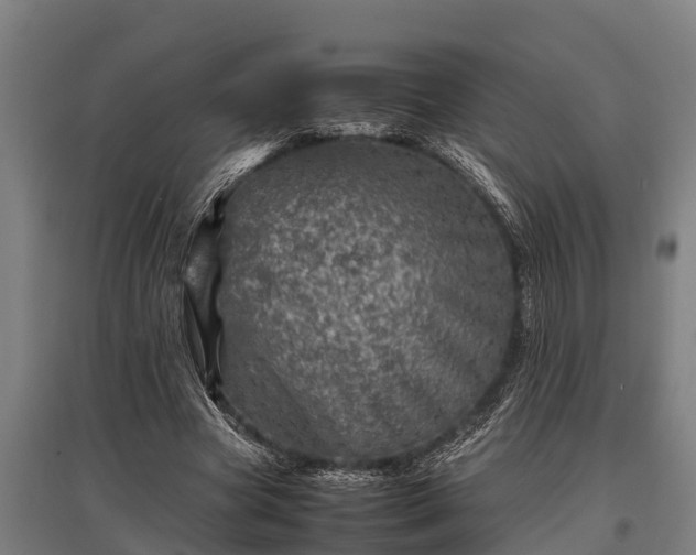 X0000095940537200801181403
