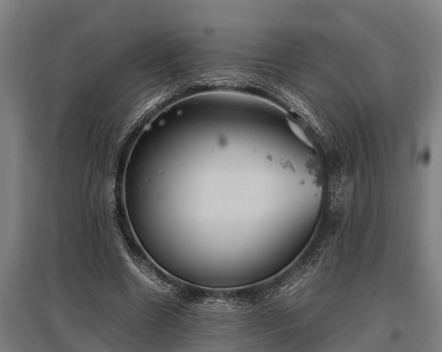 X0000095940538200801181403