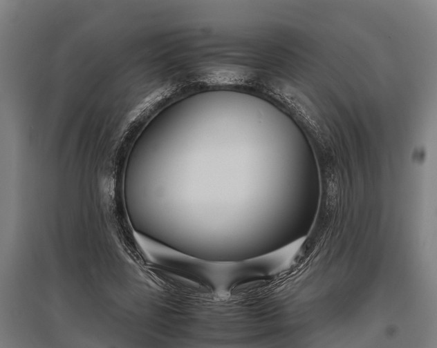 X0000095940539200801181403