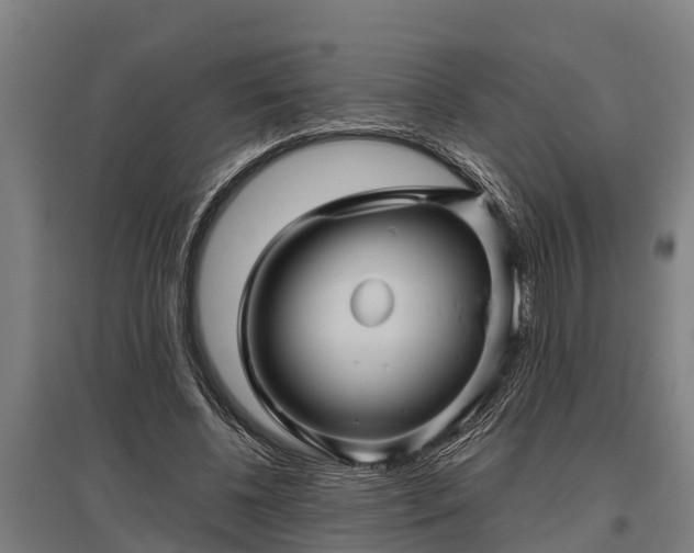 X0000095940540200801181403