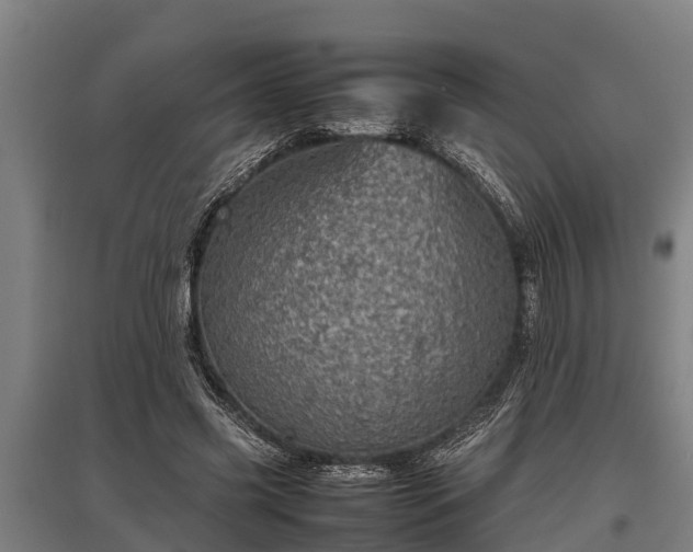 X0000095940541200801181403