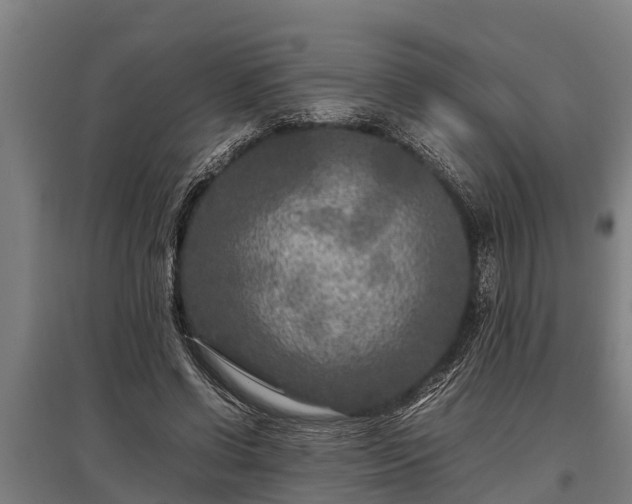 X0000095940542200801181403