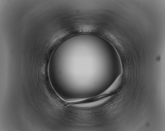 X0000095940543200801181403