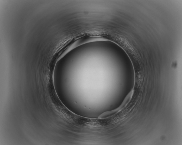 X0000095940544200801181403