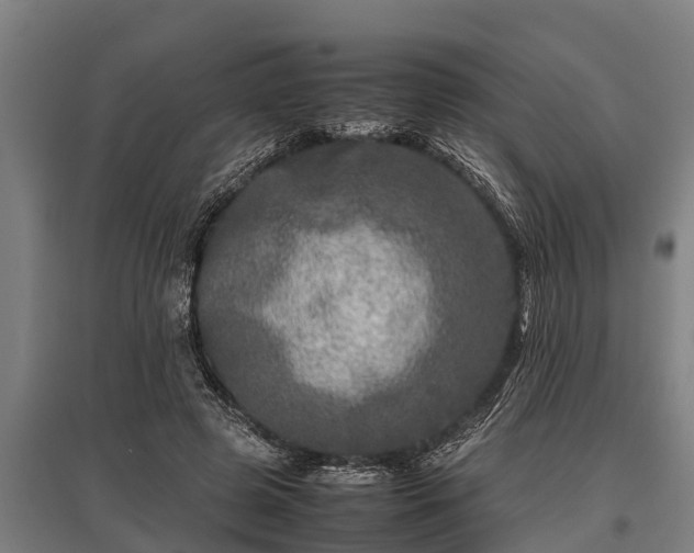 X0000095940545200801181403