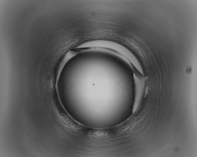 X0000095940546200801181403